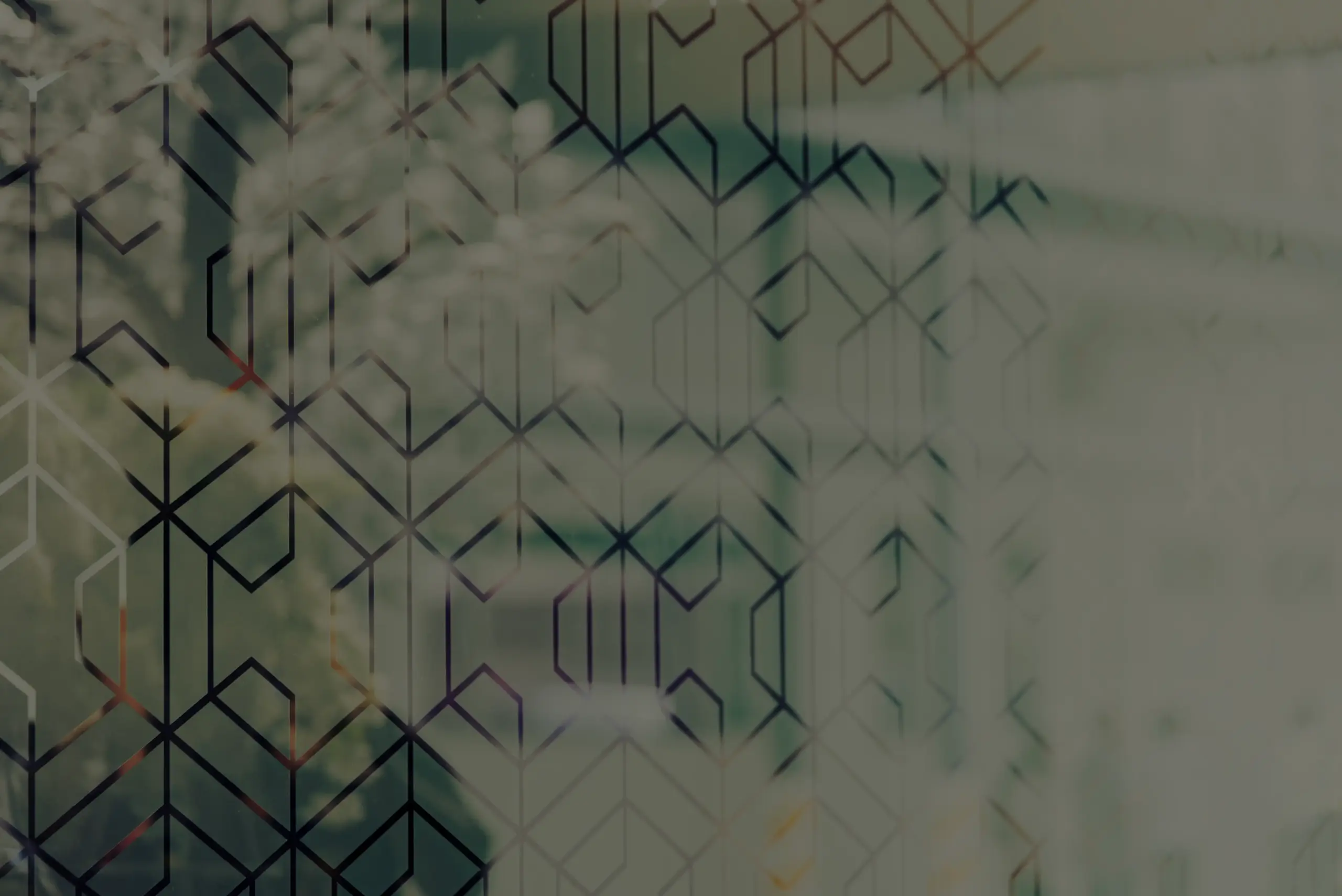 2reflection-of-tree-in-glass-texture-abstract-back-2026-03-18-13-50-23-utc copia